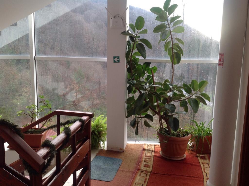 Hotel Panoramic مونياسا الغرفة الصورة